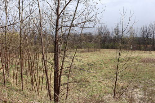 Chief Pontiac Speedway (Lake Angelus Speedway) - The Lot In April 2021 (newer photo)